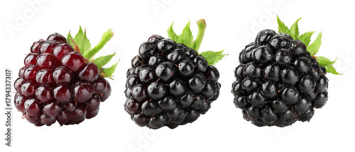 A close-up view of fresh blackberries showcasing their rich color and texture against a clean background, ideal for culinary presentations, health articles, or fruit marketing
