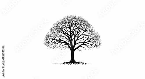 Black silhouette of a large leafless winter tree with roots.