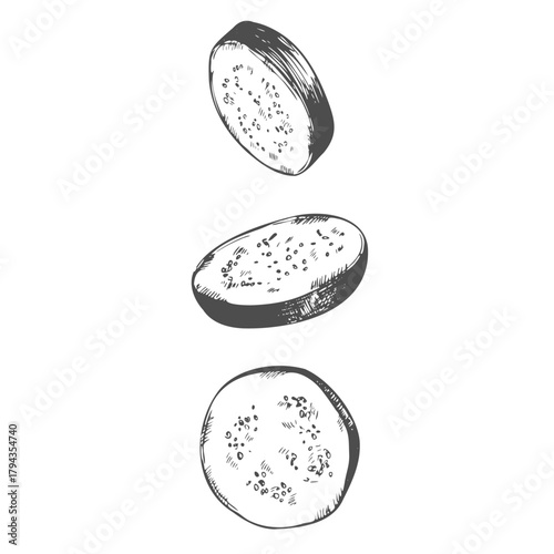 Sliced eggplant hand drawn ink sketch isolated on white background