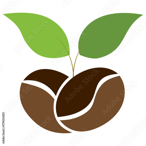 vector illustration of an coffee beans