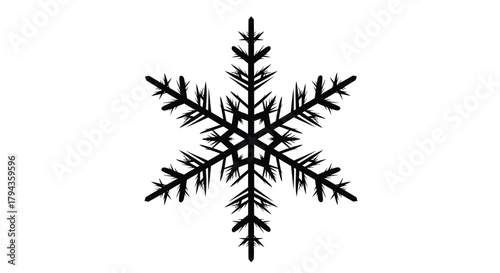 Detailed black and white illustration of a complex snowflake design