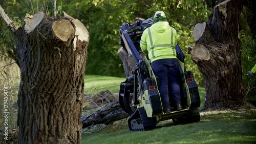 Worker operating a small tracked loader , mini skid steer equipped with a clamp or grapple attachment, lift and remov a fallen tree trunk in a park or wooded area