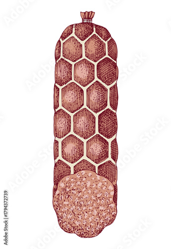 Salami sausage hand drawn vector