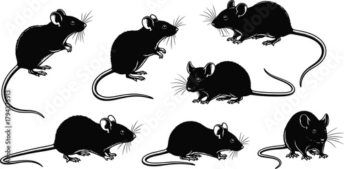 Mouse silhouettes in various standing and crouching poses with long tails, rodent wildlife set, black figures on white background