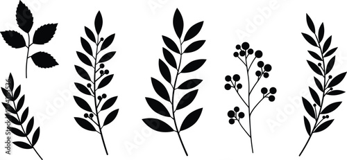 Botanical silhouette illustration, black leaf vector, berry branch clipart, nature foliage design, plant graphic element, floral art asset