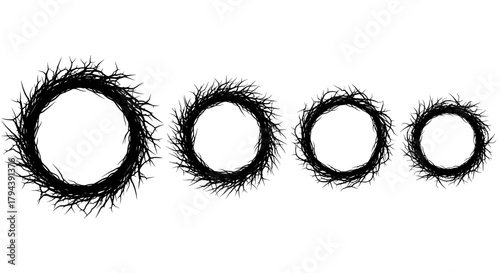 Wreath of bare branches