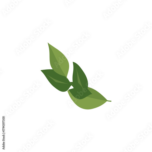 Green leaf icon logo flat vector design