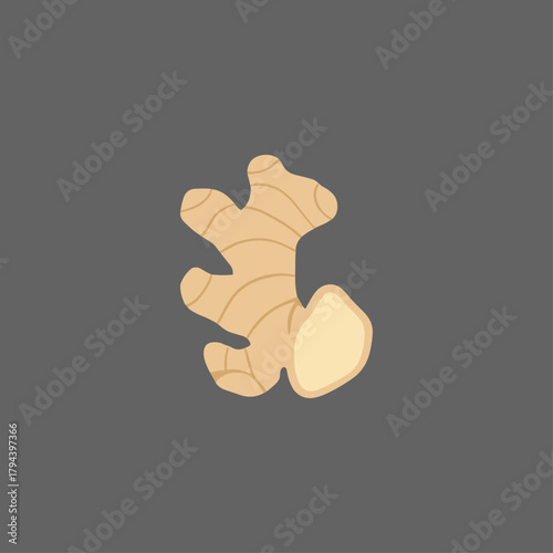 Ginger icon logo flat vector design