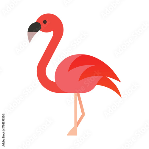 Pink flamingo standing on one leg