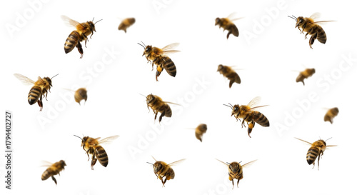 A swarm of bees in flight transparent background cutout png
