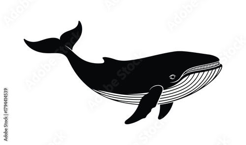 Stylized black and white illustration of a humpback whale