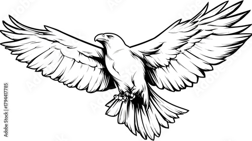 Majestic flying eagle with wings spread, powerful bird of prey in a detailed black and white line art illustration.