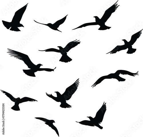 Set of flying bird silhouettes