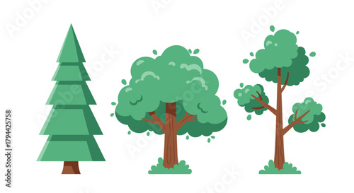 A simple and stylized set of three different types of green trees, including a pine tree, a deciduous tree, and another leafy tree.