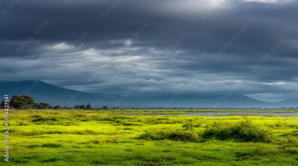 Obraz premium Savanna landscape with dark clouds, green grass, and wetlands, predicting a storm. Remote wilderness scene