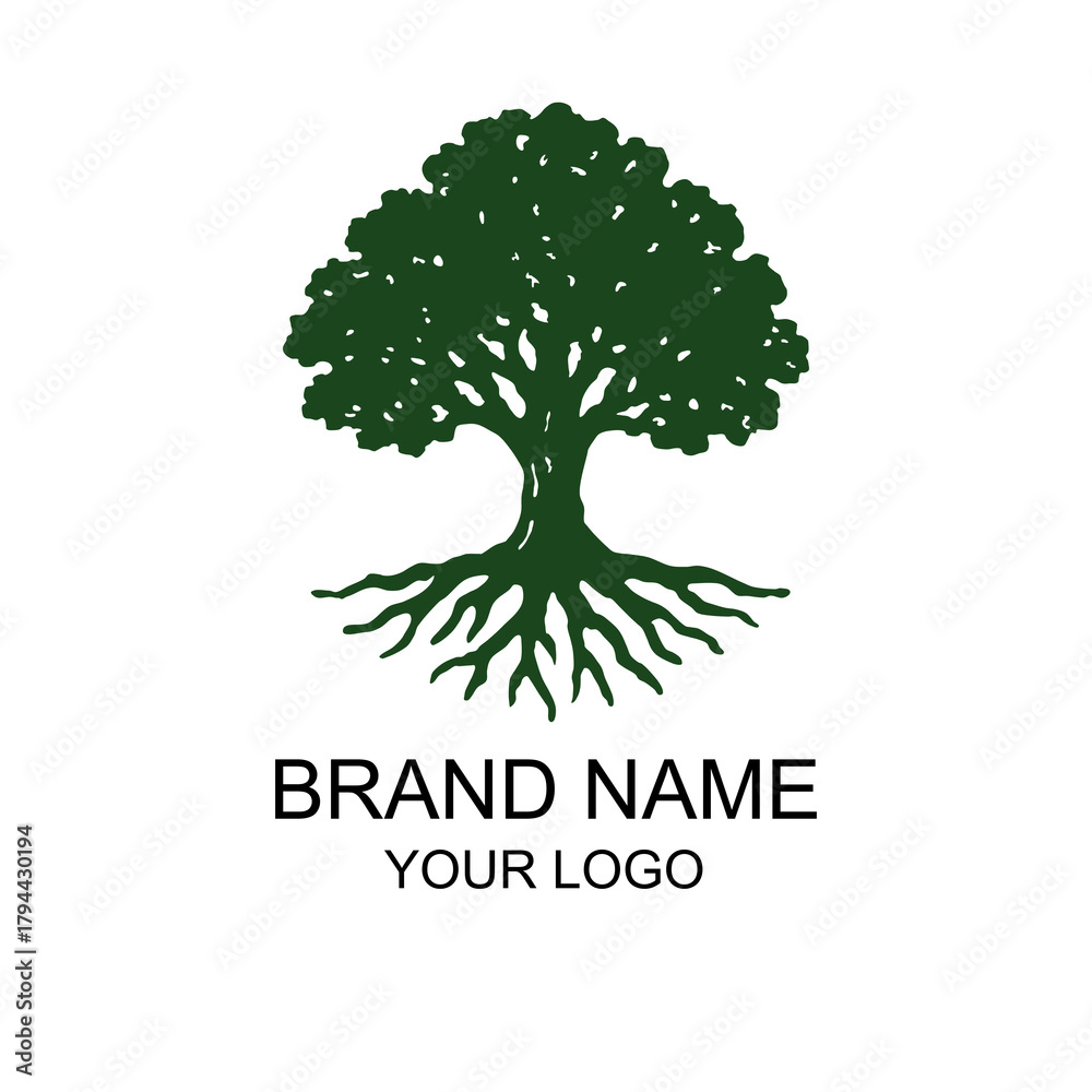 Obraz premium Oak tree logo design vector.eps