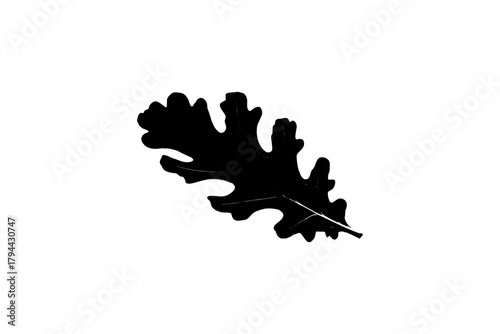 oak leaf silhouette