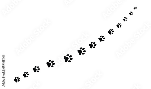 Diagonal line of black paw prints on a white background