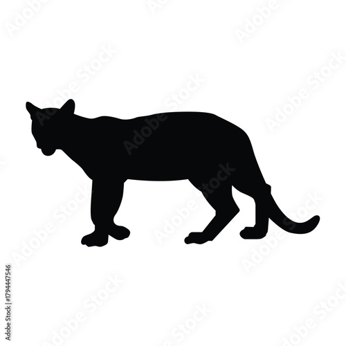 Mountain lion silhouette