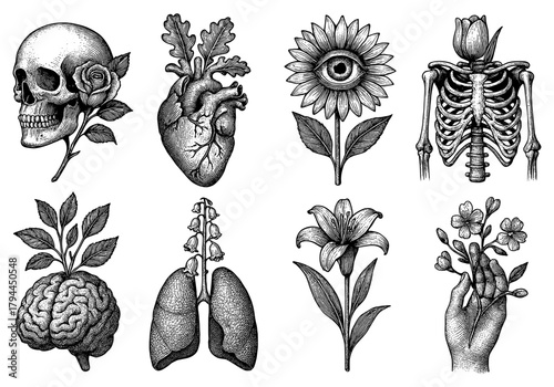 Vintage anatomical nature art with skull, heart, eye, and skeleton in botanical design
