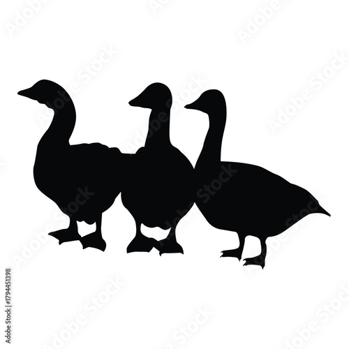 ducks silhouette