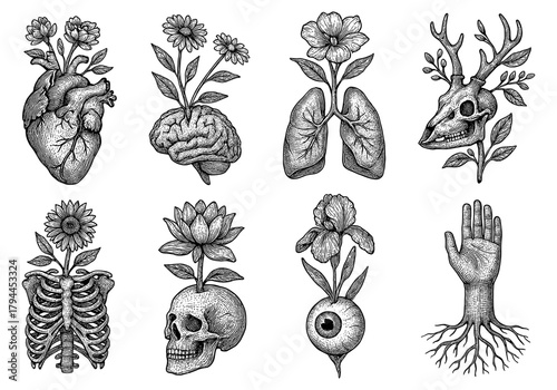 Surreal bio-morph anatomy with floral elements in detailed engraving style