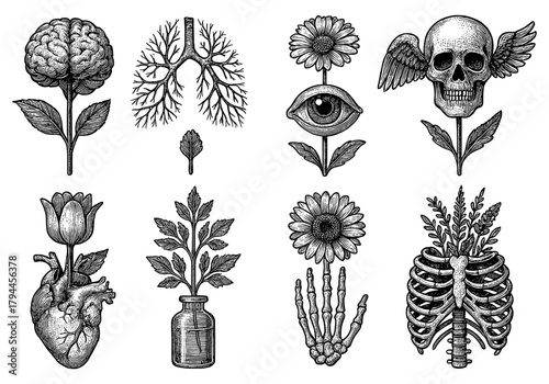 Surreal black ink illustrations of anatomical and botanical fusions with vintage style