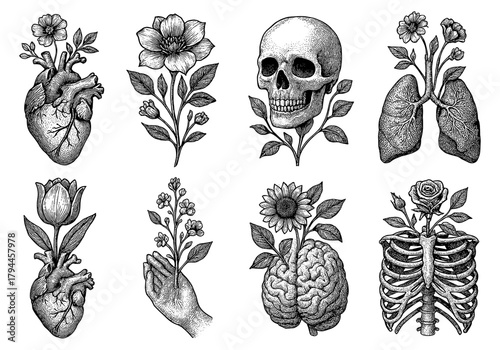 Anatomical illustrations with floral elements in vintage style