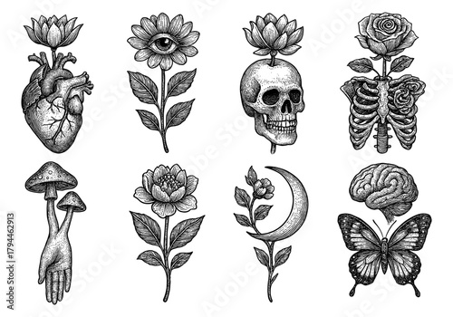 Vintage tattoo designs: skull, flowers, and surreal elements in hand-drawn style