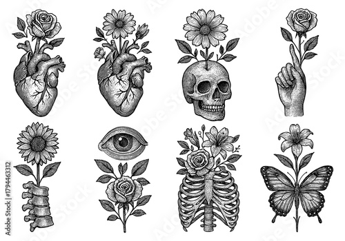 Vintage floral anatomy art: heart, skull, skeleton with flowers
