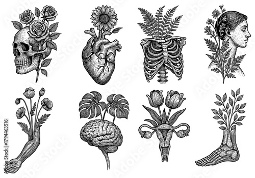 Nature and anatomy fusion: detailed botanical and human organ art