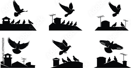 Rooftop pigeon silhouette collection featuring flying and resting birds on buildings and antennas for urban wildlife design and artwork