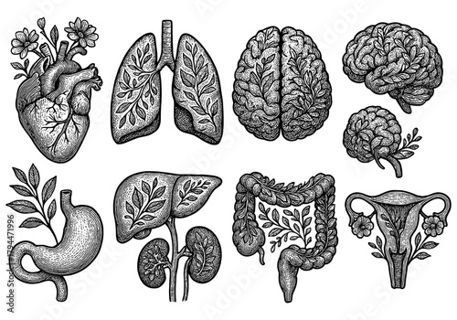 Vintage botanical anatomy with floral intricacies of human organs