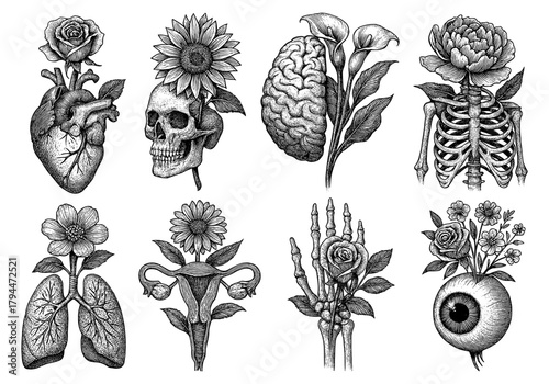 Anatomy and nature fusion: hand-drawn vintage art of organs and flowers