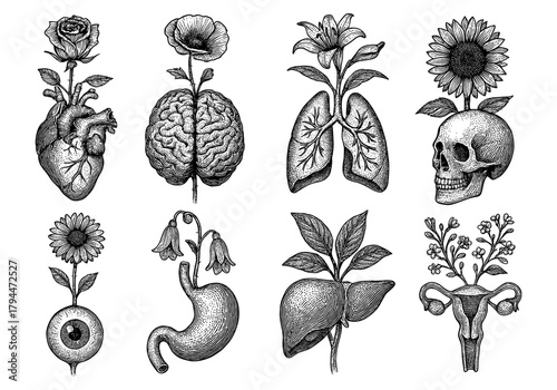 Intricate anatomical floral art with human organs and skulls in vintage style