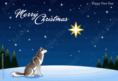 Serene Winter Night: A Wolf Gazes at the Bright Star Illuminating the Snow-Covered Landscape with Pine Trees Under a Starlit Sky