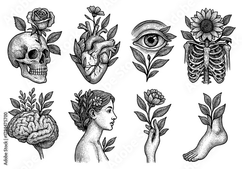 Monochrome anatomy and nature fusion in vintage engraving style