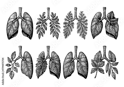 Nature inspired lungs with botanical elements in vintage style