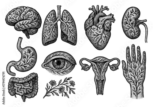 Vintage anatomical elements with nature patterns: brain, heart, and more