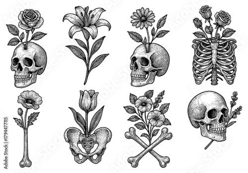 Vintage floral skulls and bones: intricate botanical and anatomy fusion art collection