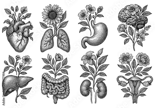 Botanical anatomy: intricate line art fusing human organs with flowers