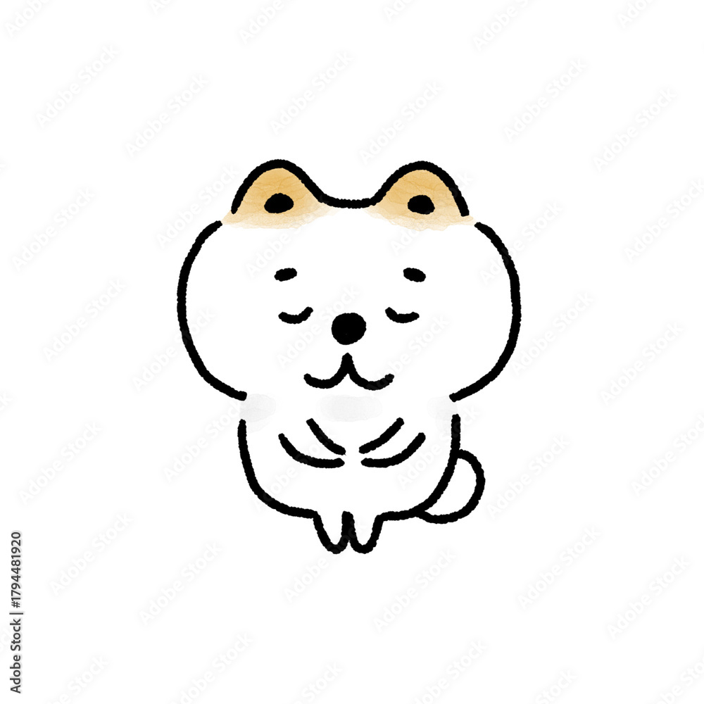 Obraz premium おじぎをする白い柴犬