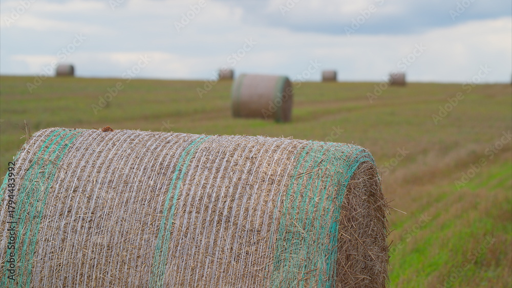 Obraz premium Golden Fields adorned with Hay Bales set against the backdrop of a Cloudy Days sky