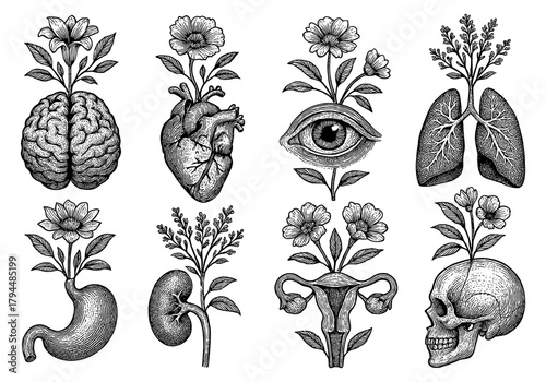 Intricate botanical and anatomical fusion drawings with vintage tattoo style