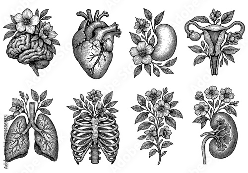 Intricate anatomical organs with floral designs in detailed hand drawn style