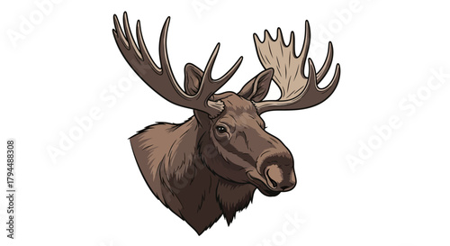 A detailed illustration of a majestic moose head, showcasing its impressive antlers and fur.