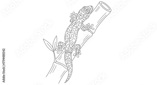 A detailed black and white line drawing of a spotted tokay gecko climbing on a bamboo stalk.