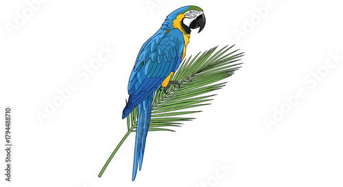 A vibrant blue-and-yellow macaw parrot perched on a green palm frond against a white background.