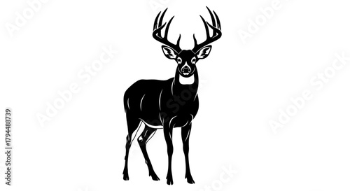 Black and white illustration of a majestic buck deer with large antlers, standing proudly.