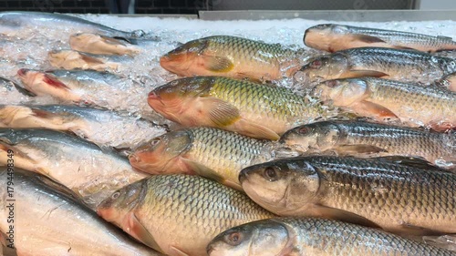 A variety of fresh fish is neatly displayed on ice racks inside a hypermarket. The chilling arrangement ensures the seafood maintains its freshness and quality for customers.
